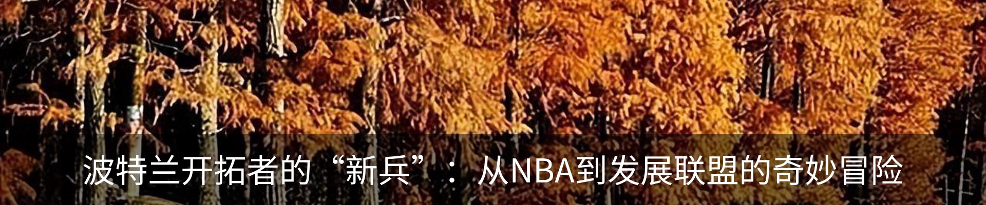 行业资讯